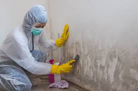 Why You Should Choose Our Mold Remediation Services in Mercer, PA